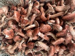 -象山村腊排骨(丽江总店)