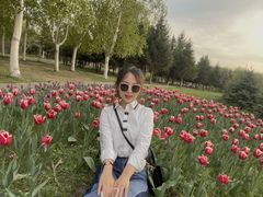 -长春公园(普阳街道)