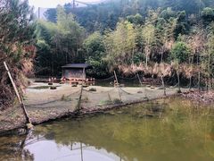-千岛湖东南湖区