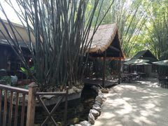 -勐丽梦兰傣味餐厅