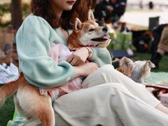 -ALDI奥乐齐超市(徐汇大木桥店)