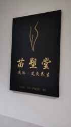 -苗塑堂减肥·艾灸
