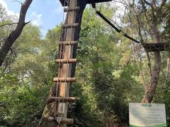 -芦仙山景区-飞越丛林探险乐园