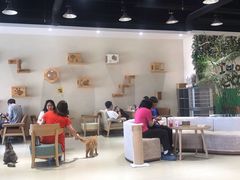 -藏猫猫咖啡主题馆(中央大道店)