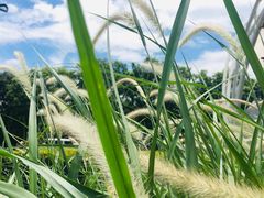 -猎德游泳池(猎德花园店)