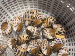 -三个渔夫·蒸汽海鲜(小白楼店)