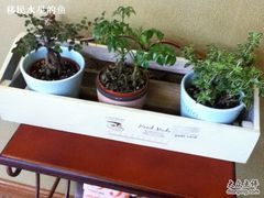 -RUMORS COFFEE ROASTERY鲁马滋咖啡(湖南路店)