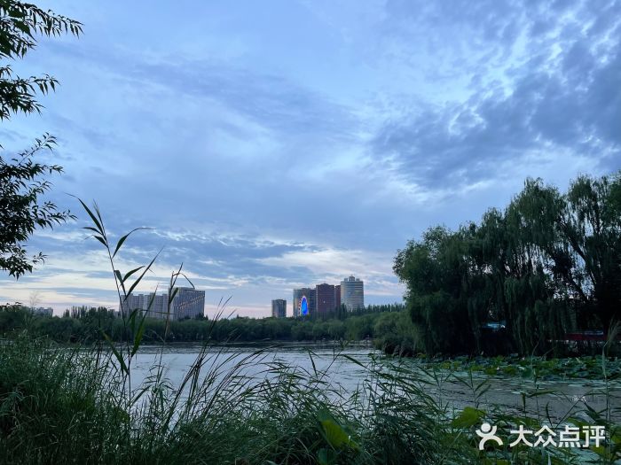 青城公园图片