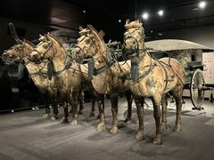 -秦始皇帝陵博物院-丽山园