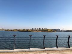 -丁香湖公园