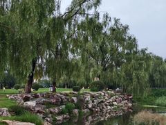-莫子山公园
