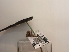 -CHILLAX轻乐时(侨建·Hi City店)