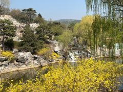 -北京西山国家森林公园