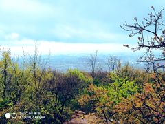 -鬼笑石后山停车场