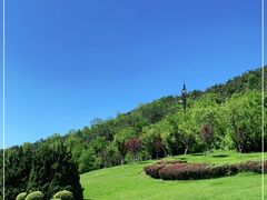 -棒棰岛宾馆景区