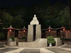 -张家港金凤凰度假村温泉