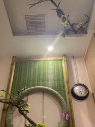 -芳朵美容养生SPA