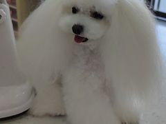 -宠颐生动物医院·小陆分院