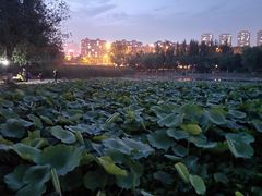 -前关湿地公园