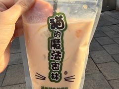 -猫的魔法密林(衣裳街店)