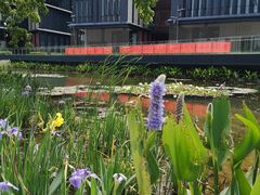 -星巴克(深圳前海企业公馆店)