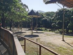 -深圳野生动物园