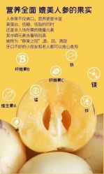 -名发世家烫染