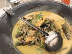-饭怕鱼·黄焖鲟龙鱼(湖大店)