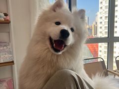 -大悦城(沈阳中街店)