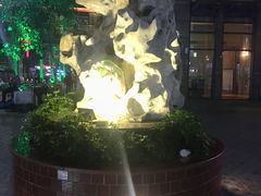 -水围村