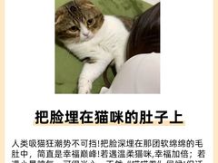 -美联众合动物医院·24h转诊中心