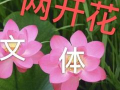 -阿叶羊杂碎(前进街店)