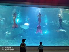 -福州罗源湾海洋世界旅游区