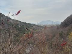 -白水寺森林公园