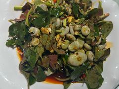 -高坎一品甲鱼庄(两河店)