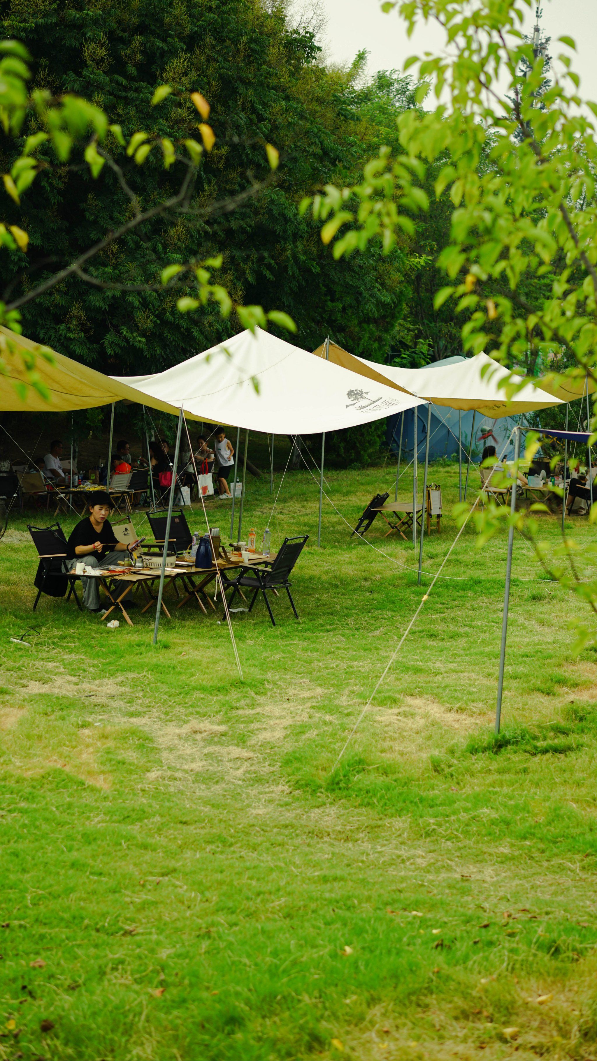 悠闲时刻 秋天的第一场露营🏕️去哪里?