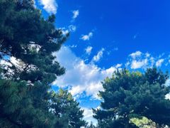-鬼笑石后山停车场