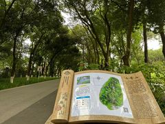 -广州市白云山风景名胜区