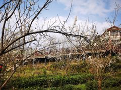 -樱桃山旅游景区