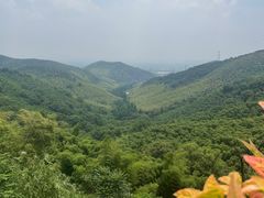 -东明山森林公园