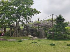 -南通洲际绿博园