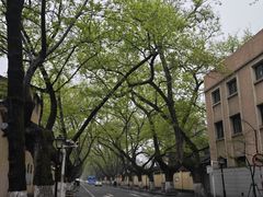 -颐和路民国时期公馆风貌区