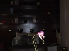 -壹号港湾