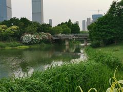 -尚贤河湿地