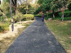 -杭州城北体育公园