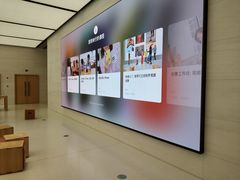 -Apple零售店(玄武湖店)