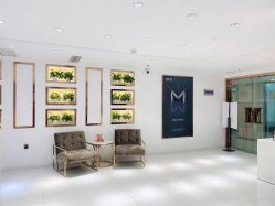 -MIVI野生眉纹绣纹眉