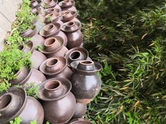 -远山有窑