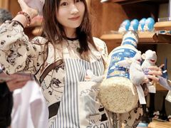 -巴黎迪士尼乐园