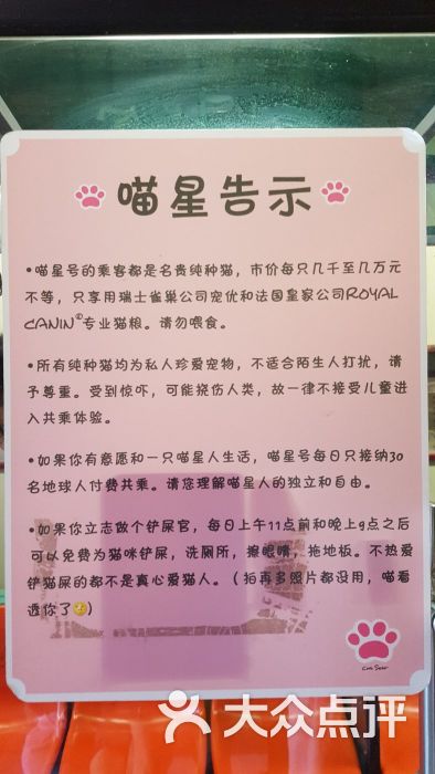 猫咪博物馆图片 第10张